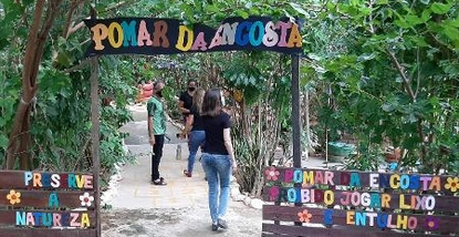 a-encosta-que-virou-jardim-para-as-criancas-1642706099257_v2_450x450