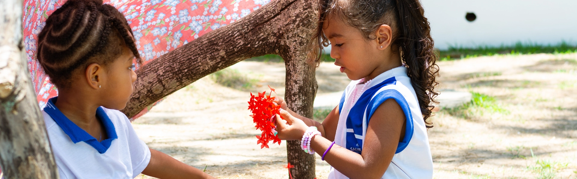 patio-naturalizado-cmei-boca-do-rio_@isabelabugmann.fotografia-119