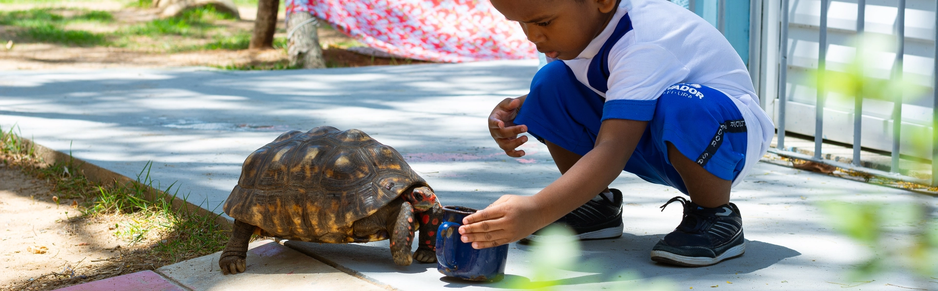 patio-naturalizado-cmei-boca-do-rio_@isabelabugmann.fotografia-73